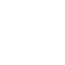 Scaling Icon